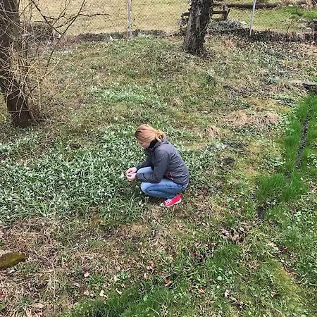 Dovolenkový dom Romanticka Chalupka Na Polosamote Plavecky Peter