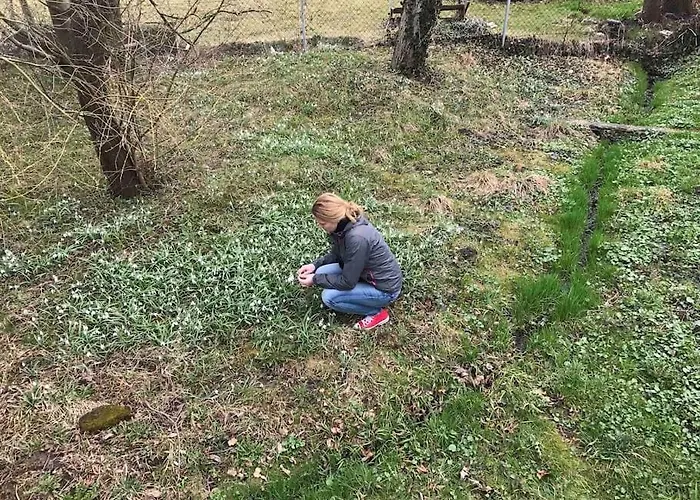 Ferienhaus Romanticka Chalupka Na Polosamote Plavecky Peter