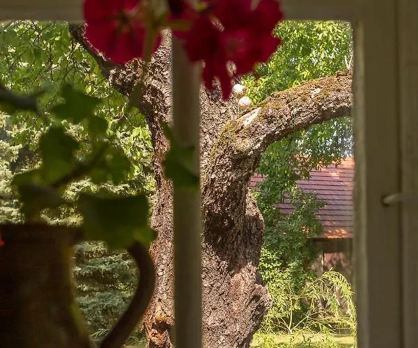 Ferienhaus Romanticka Chalupka Na Polosamote *